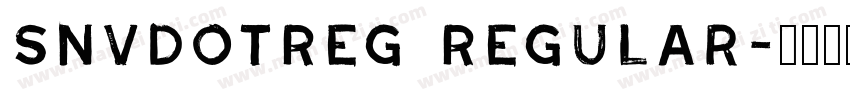 SnvDOTReg Regular字体转换